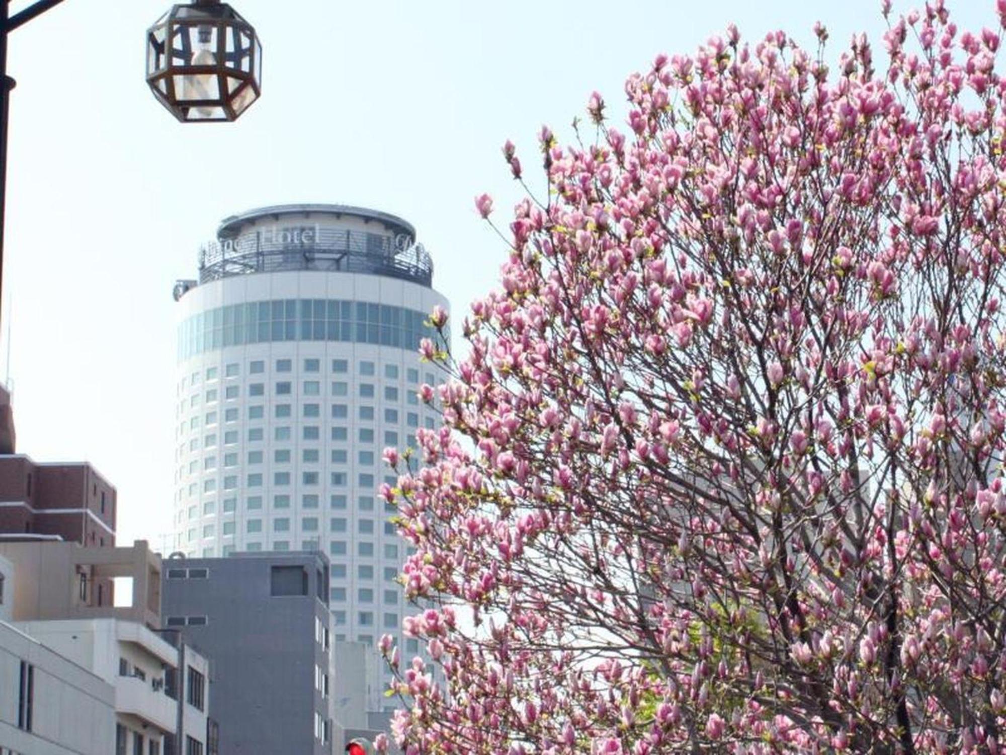 Sapporo Prince Hotel Exterior foto